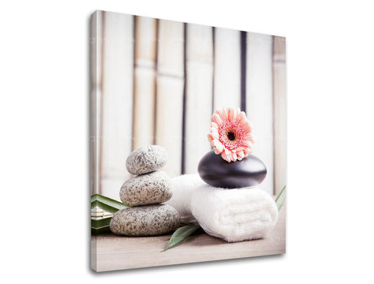 Класическа картина на платно с мотив FENG SHUI, цветя, природа в бяло-бежово нюанси, спокойна атмосфера, природа, подходяща за хол | Картина на платно FENG SHUI_053-12 – продукт