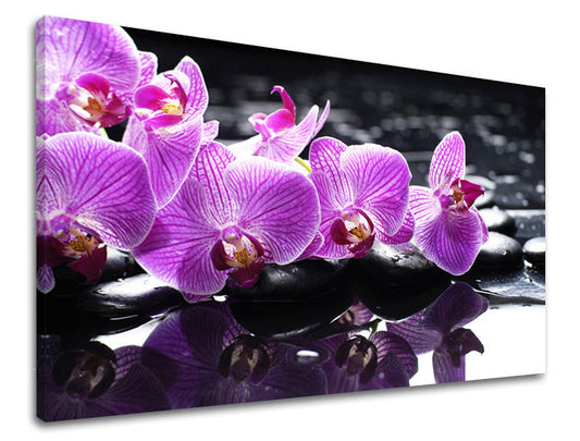 Класическа картина на платно с мотив FENG SHUI, пейзаж, природа в виолетово-черно нюанси, спокойна атмосфера, природа и красота, подходяща за хол – основна