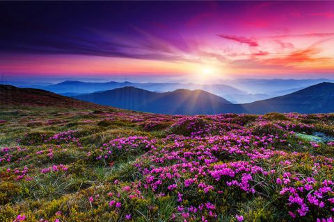 Селски стил - Изкуство, пълно с романтика и уют