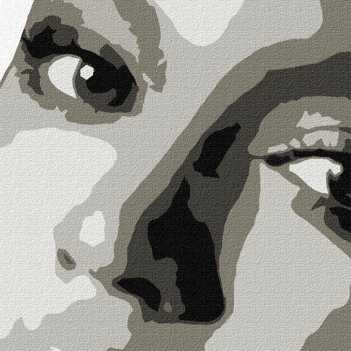 Ръчно рисувана картина POP ART BEYONCÉ 60x60 cm