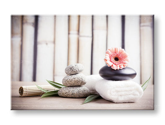 Класическа картина на платно с мотив FENG SHUI, бамбук, цветя, природа в бежово-розово нюанси, спокойна атмосфера, природа, подходяща за хол – основна