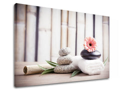 Класическа картина на платно с мотив FENG SHUI, бамбук, цветя, природа в бежово-розово нюанси, спокойна атмосфера, природа, подходяща за хол – продукт