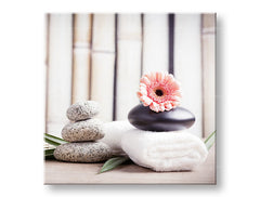 Класическа картина на платно с мотив FENG SHUI, цветя, природа в бяло-бежово нюанси, спокойна атмосфера, природа, подходяща за хол | Картина на платно FENG SHUI_053-12 – основна