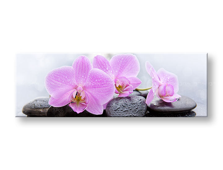 Класическа картина на платно с мотив FENG SHUI, цветя, природа в бяло-розово нюанси, спокойна атмосфера, природа, подходяща за хол | Картина на платно FENG SHUI_062-13 – основна