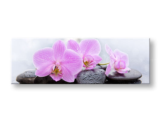 Класическа картина на платно с мотив FENG SHUI, цветя, природа в бяло-розово нюанси, спокойна атмосфера, природа, подходяща за хол | Картина на платно FENG SHUI_062-13 – основна
