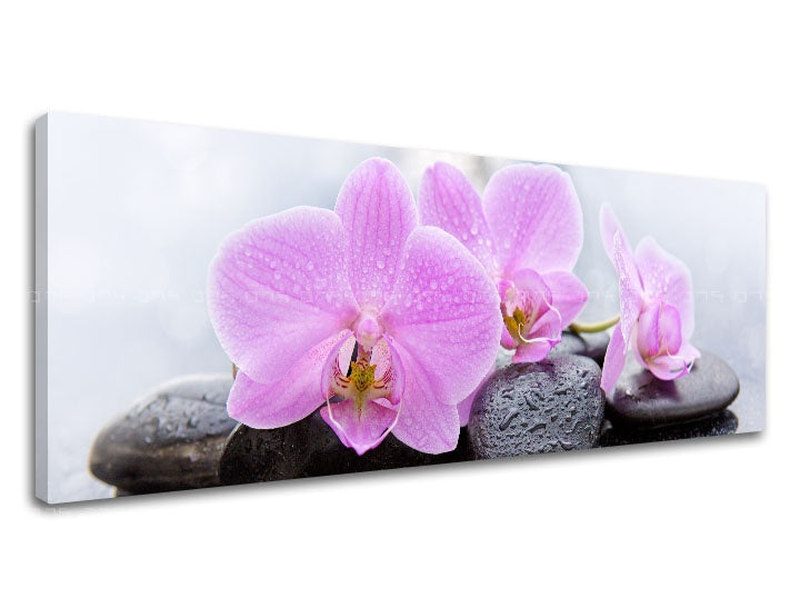 Класическа картина с мотив FENG SHUI, цветя, природа в бяло-розово нюанси | Картина на платно FENG SHUI_062-13, природа – преглед