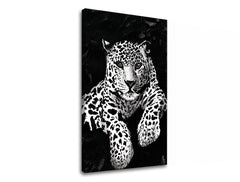 Модерна картина с мотив GEPARD 001 в бяло-черно нюанси | Картина на платно GEPARD 001, природа и сила и мощ – преглед