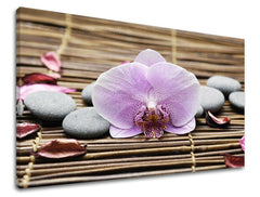 Класическа картина на платно с мотив FENG SHUI, орхидея, цветя, природа в кафяво-розово нюанси, спокойна атмосфера, природа, подходяща за хол – основна