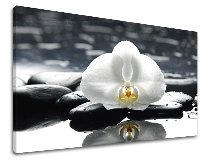 Класическа картина на платно с мотив FENG SHUI, цветя, природа в бяло-черно нюанси, спокойна атмосфера, природа, подходяща за хол | Картина за стена FENG SHUI – основна