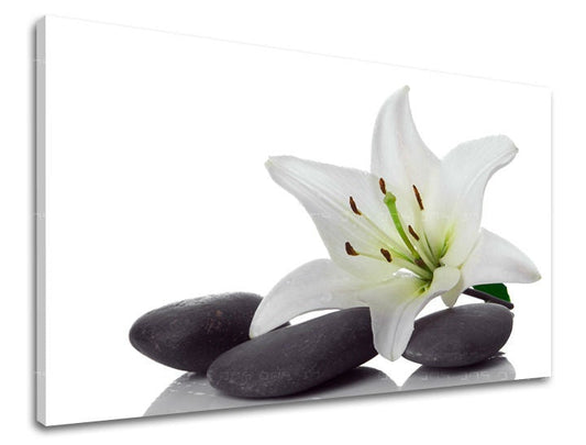 Класическа картина на платно с мотив FENG SHUI, цветя, природа в бяло-зелено нюанси, спокойна атмосфера, природа, подходяща за хол | Картина за стена FENG SHUI – основна