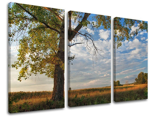 Класическа картина на платно с мотив дърво, небе, облаци, поле, природа в синьо-зелено нюанси, спокойна атмосфера, природа, трипанелно изпълнение – основна