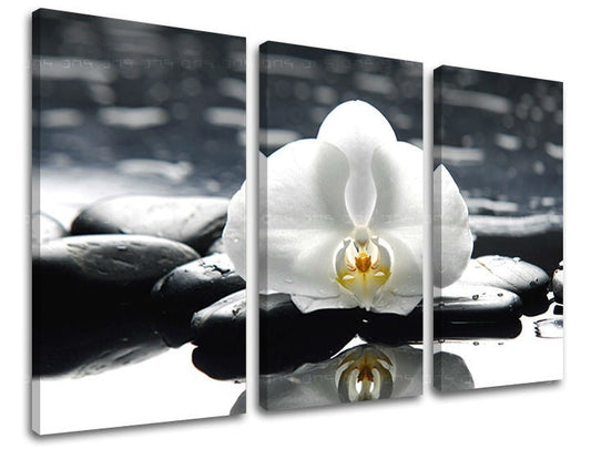 Индустриална картина с мотив FENG SHUI, пейзаж, природа в бяло-сиво нюанси | Картина за стена FENG SHUI, минимализъм – преглед