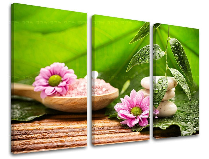 Класическа картина на платно с мотив FENG SHUI, природа в бяло-розово нюанси, спокойна атмосфера, природа, подходяща за хол | Картина за стена FENG SHUI – основна