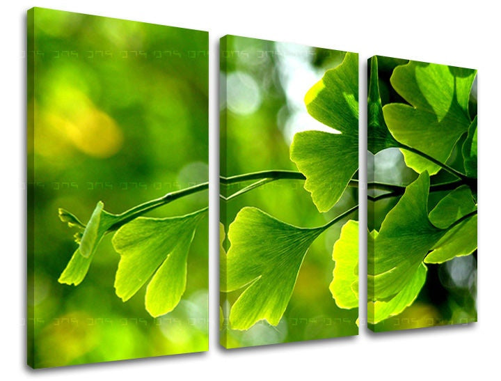 Класическа картина на платно с мотив RASTLINY, карта, природа в многоцветн нюанси, свежа атмосфера, пролетна атмосфера и растеж и развитие, трипанелно изпълнение – основна