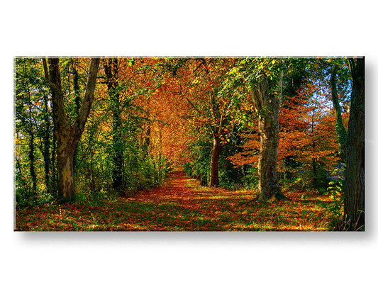 XOBST033E13-30x60-24h-1.jpg