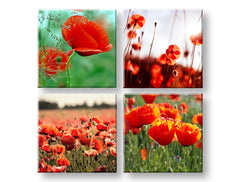 Колаж картина на платно с мотив Meadow of poppy poppies, макове, цветя, поле, карта в зелено-червено нюанси, жизнена атмосфера, подходяща за кухня – основна