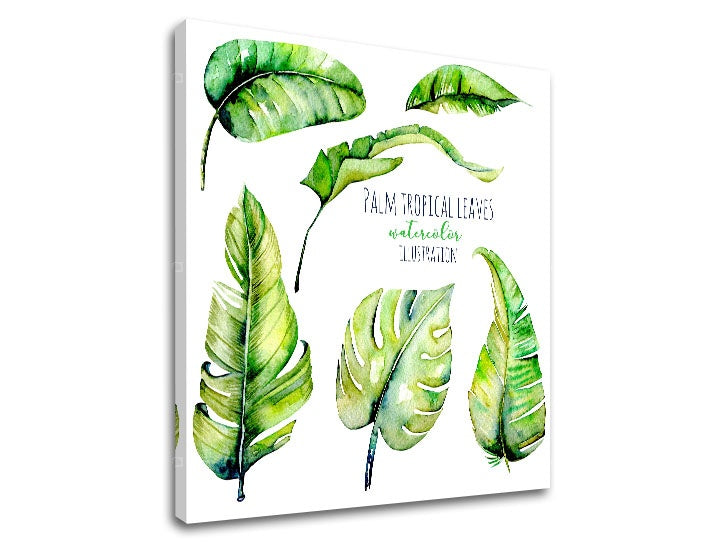 Модерна картина с мотив природа в бяло-зелено нюанси | Картина за стена s textom Palm tropical leaves, природа и тропически рай – преглед