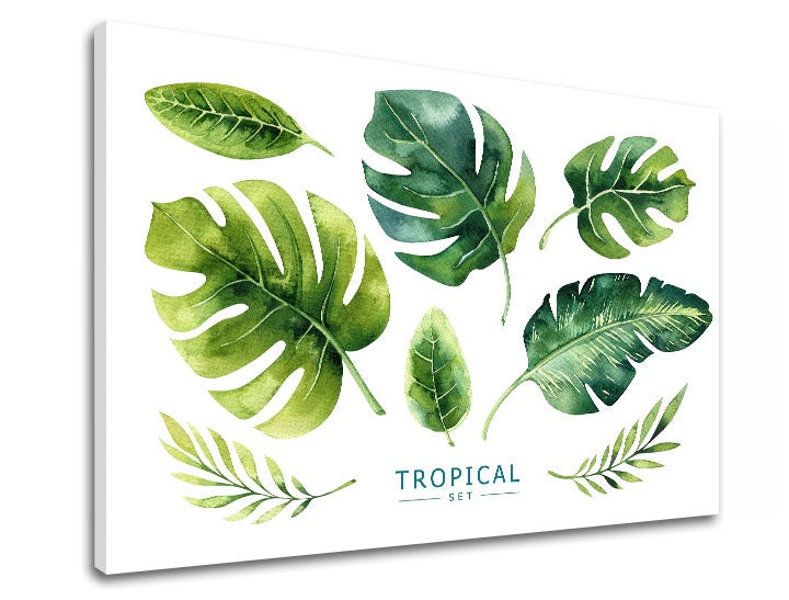 Модерна картина с мотив природа в бяло-зелено нюанси | Картина за стена s textom Tropical set, природа и тропически рай – преглед