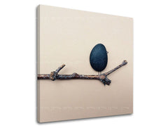 Рисуване на стени INSPIRATION IN033E12