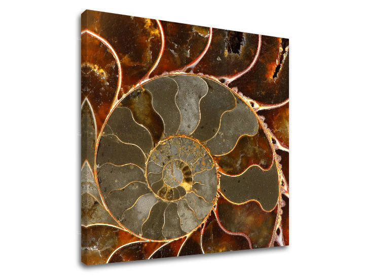 Рисуване на стени INSPIRATION IN041E12