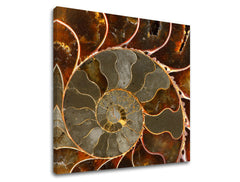 Рисуване на стени INSPIRATION IN041E12