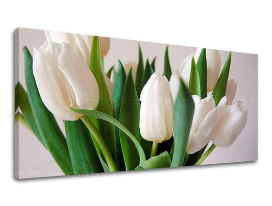 obraz-na-stenu-panorama-kvety-SK-XOBKV108E13-0.jpg