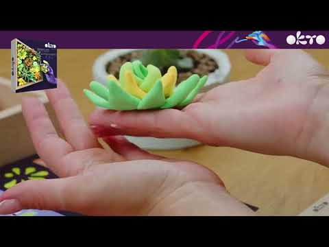 OKTO Комплект за моделиране на сукуленти 21 x 21 cm ENERGIA