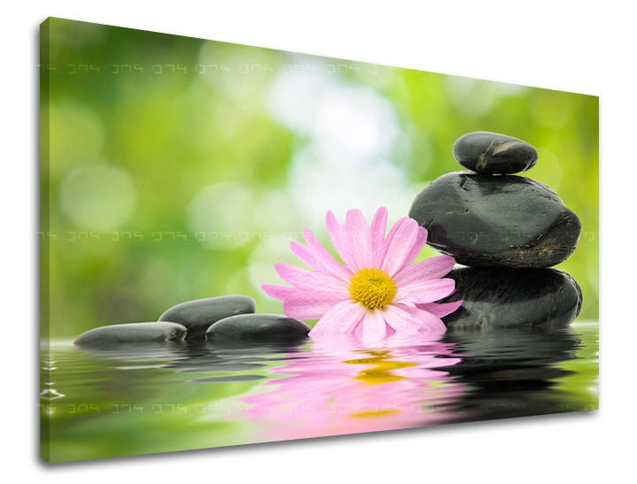 Класическа картина на платно с мотив FENG SHUI, природа в розово-зелено нюанси, спокойна атмосфера, хармония, подходяща за хол | Картина за стена FENG SHUI – основна