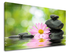 Класическа картина на платно с мотив FENG SHUI, природа в розово-зелено нюанси, спокойна атмосфера, хармония, подходяща за хол | Картина за стена FENG SHUI – основна